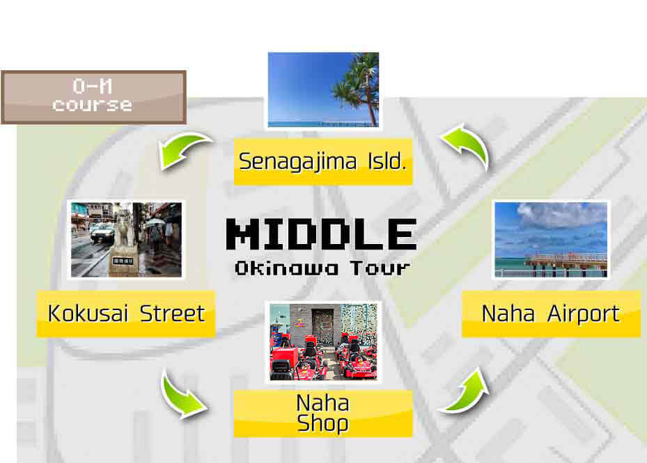 GO-KARTING JAPAN Tour 2h